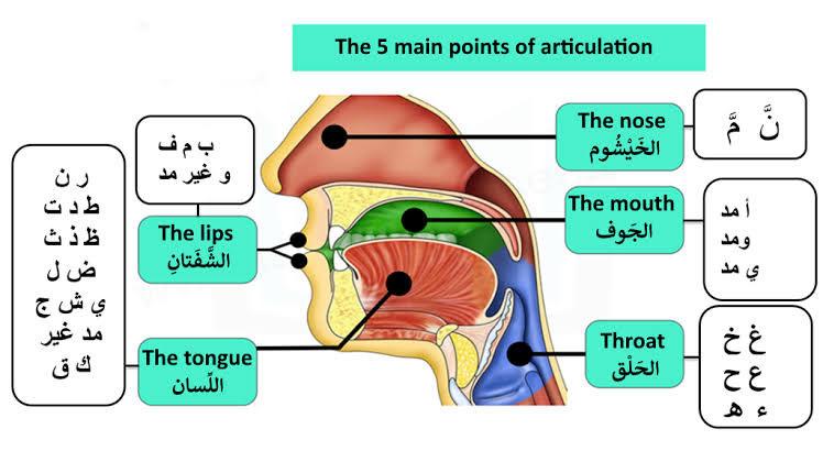 Tajweed Makhaarij